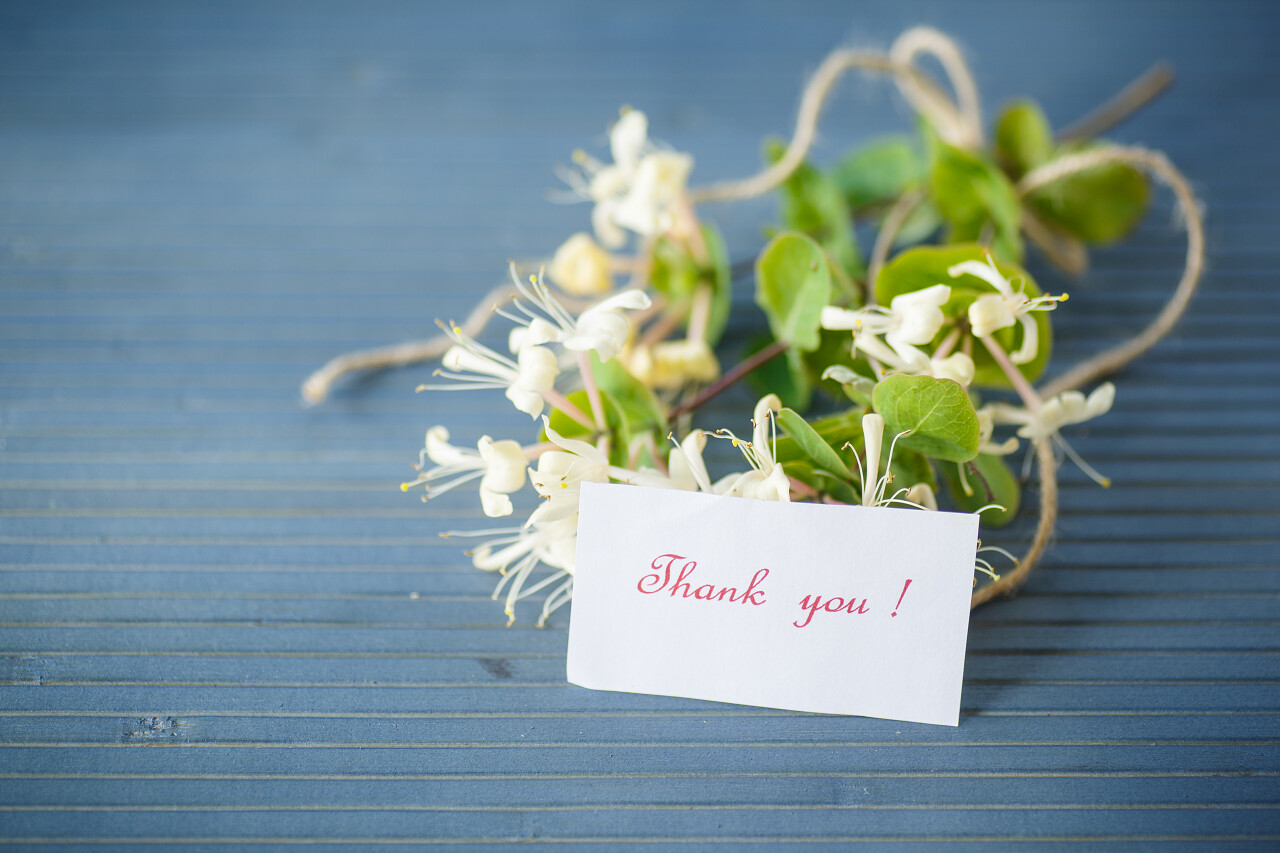 桌子上放着白色的铁线和写着着感激之情的卡片