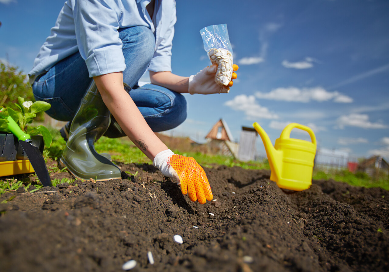 农民播种在花园里的形象
