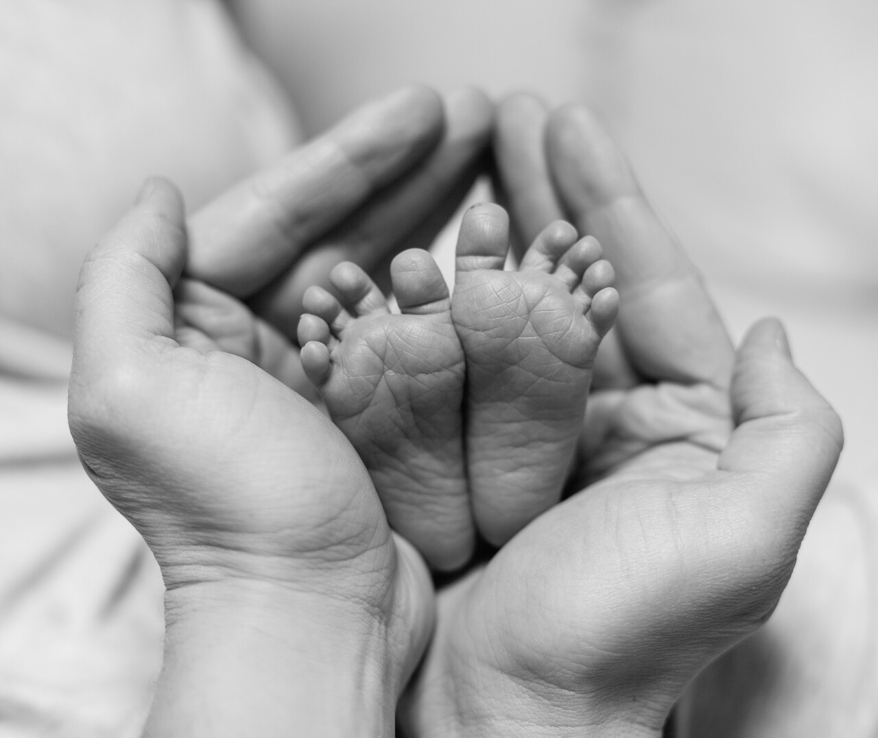 新生儿的脚丫在父亲的手中 黑白照片