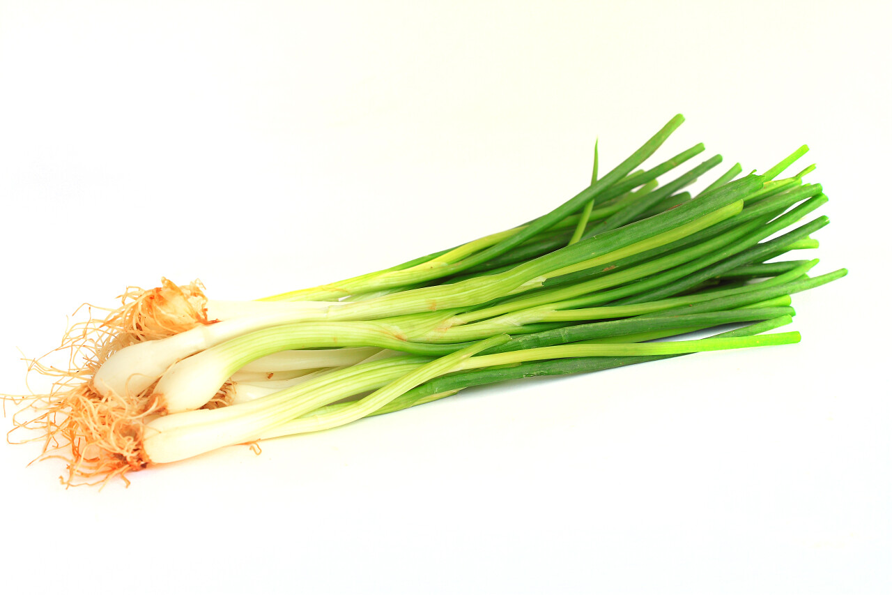 在白色背景上的春洋葱