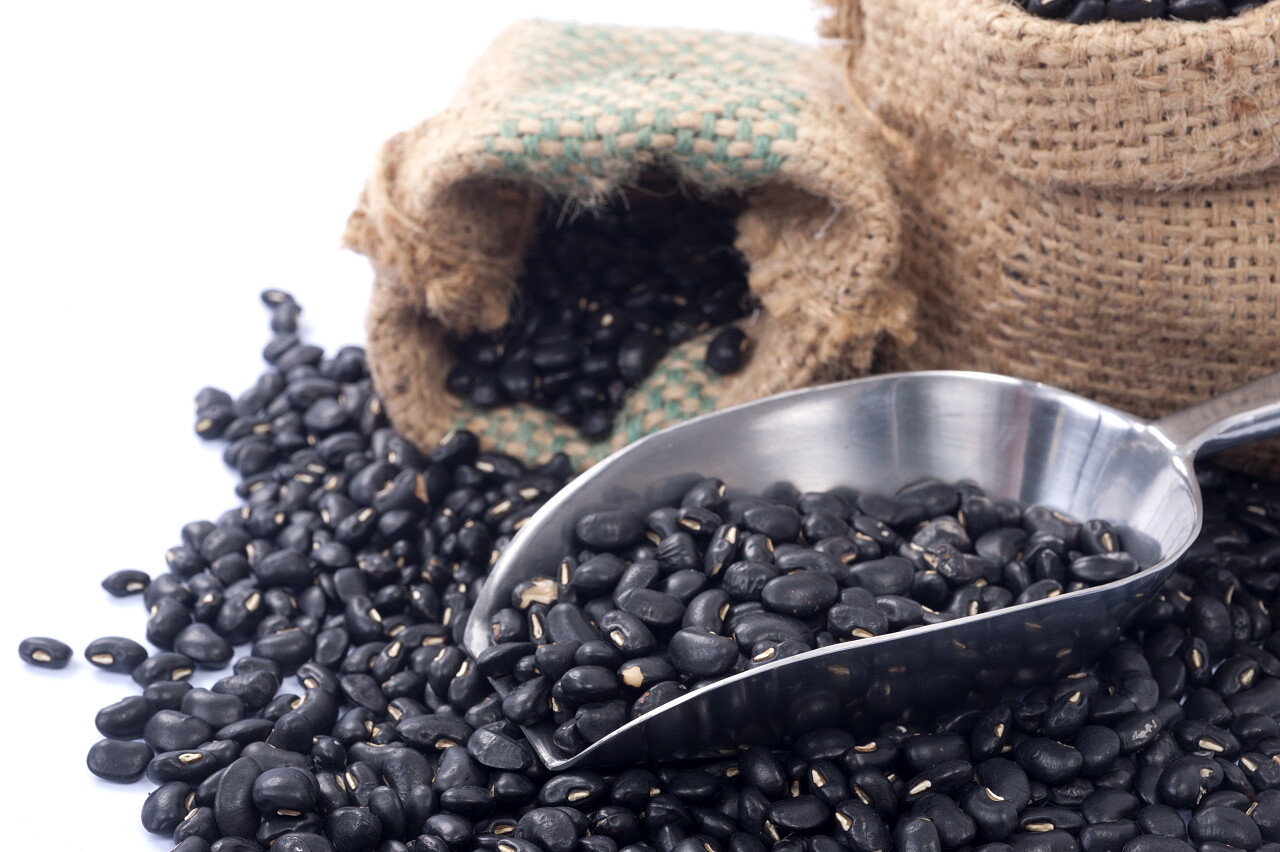 在白色背景上袋黑豆