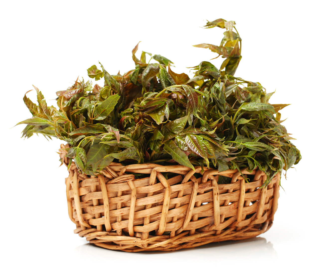 香椿在白色背景上的篮子里传统二十四节气24节气谷雨