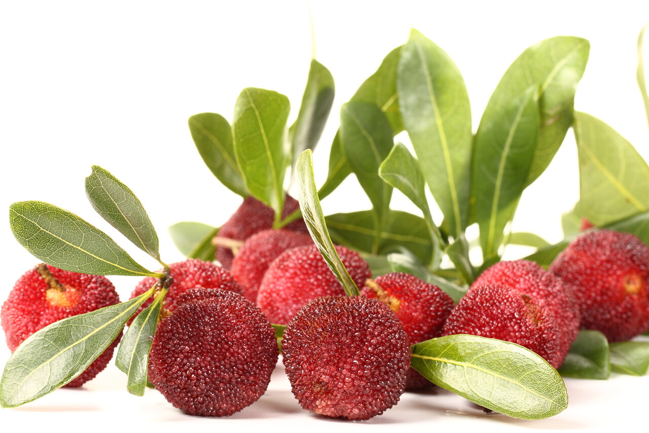 白色背景上的异国情调杨梅