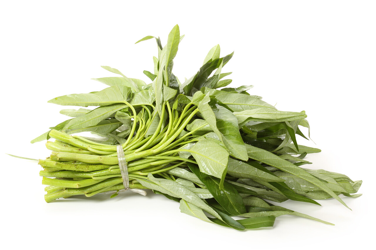 白色背景上分离的水菠菜