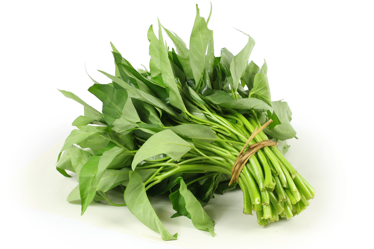 白色背景上分离的菠菜