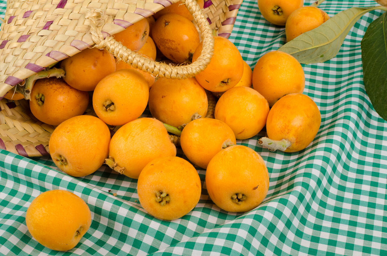 一个装满新鲜枇杷的小篮子