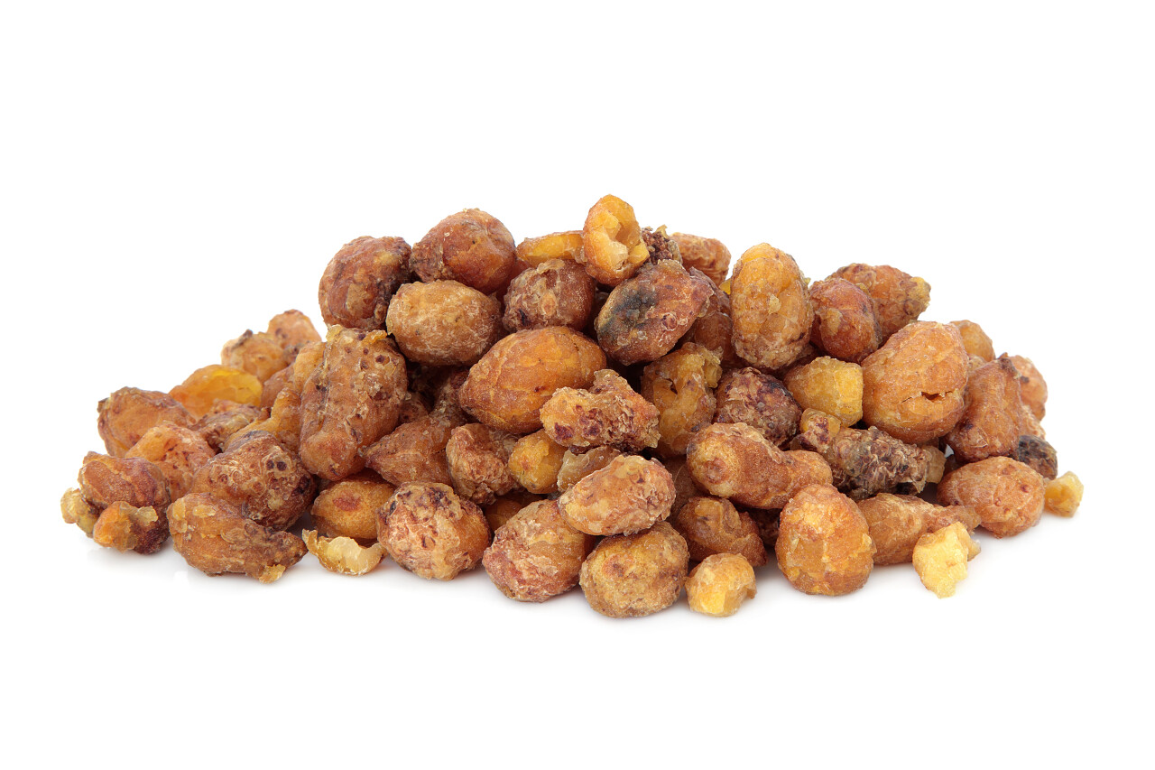 白底半夏块茎中草药