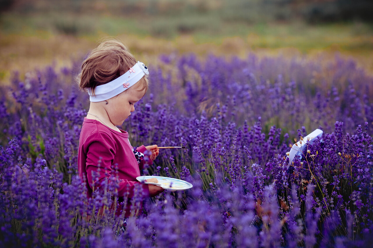 女孩在薰衣草园里画一幅画图片