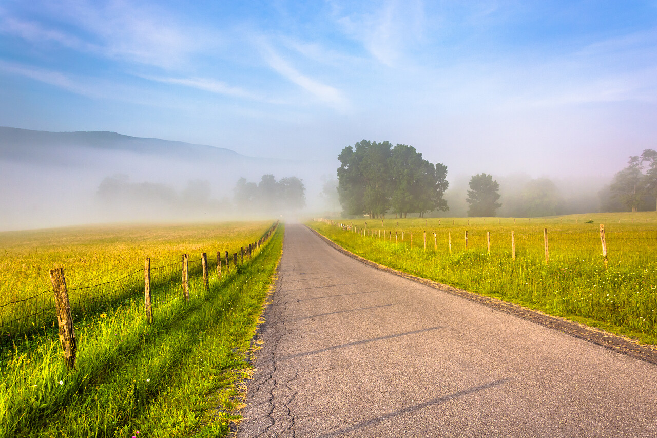 乡间小路有雾的早晨在西弗吉尼亚州波托马克河高原农田