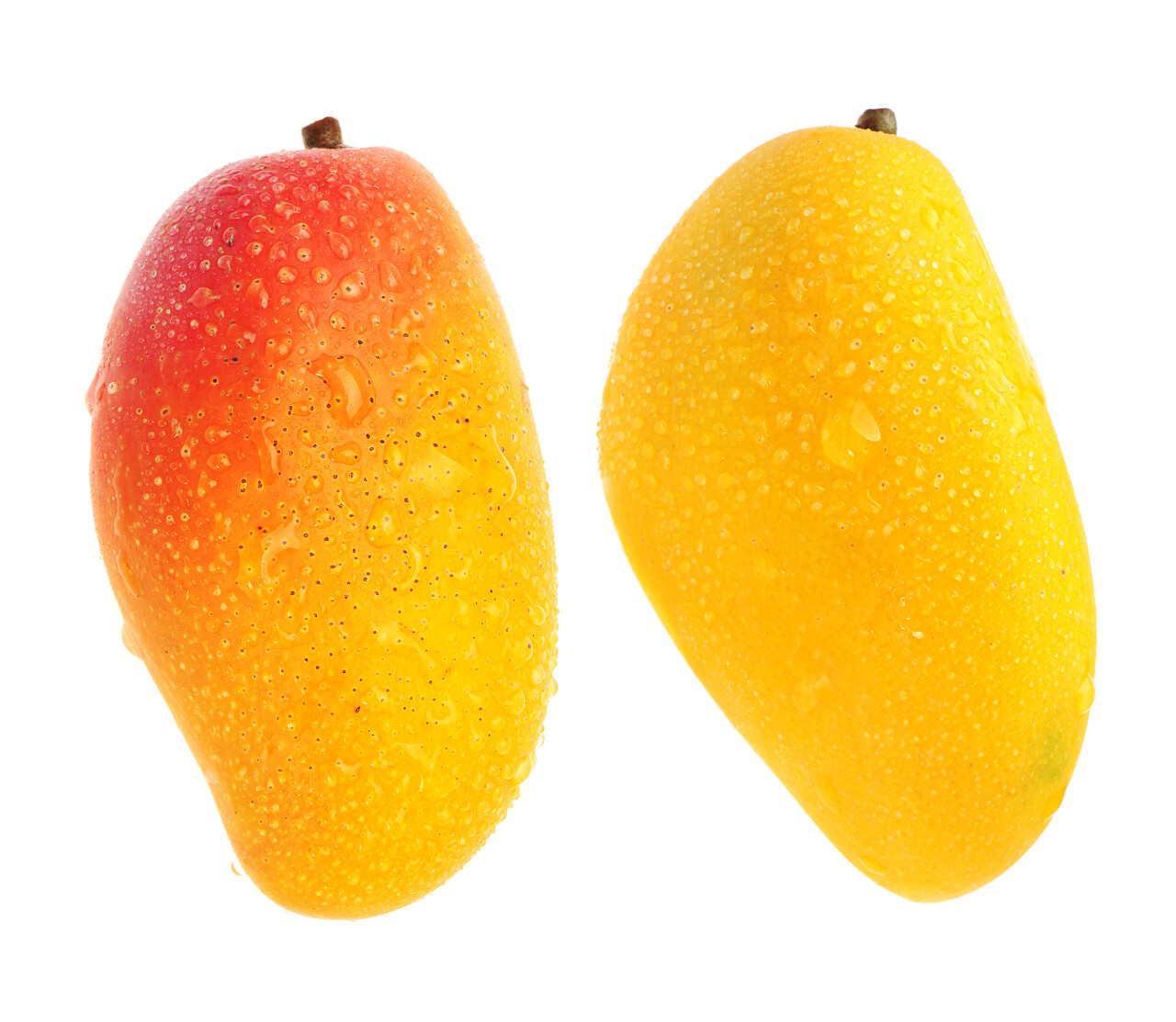 白底新鲜带水珠的芒果