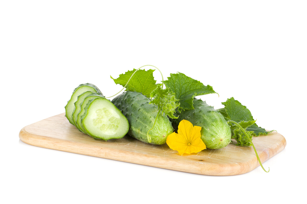 白底切菜板上成熟切片的黄瓜