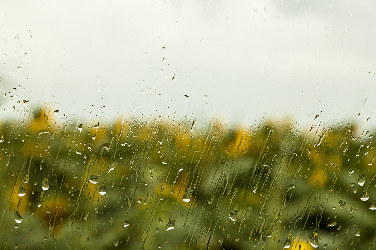 大雨落在窗口背景中的向日葵传统二十四节气24节气雨水