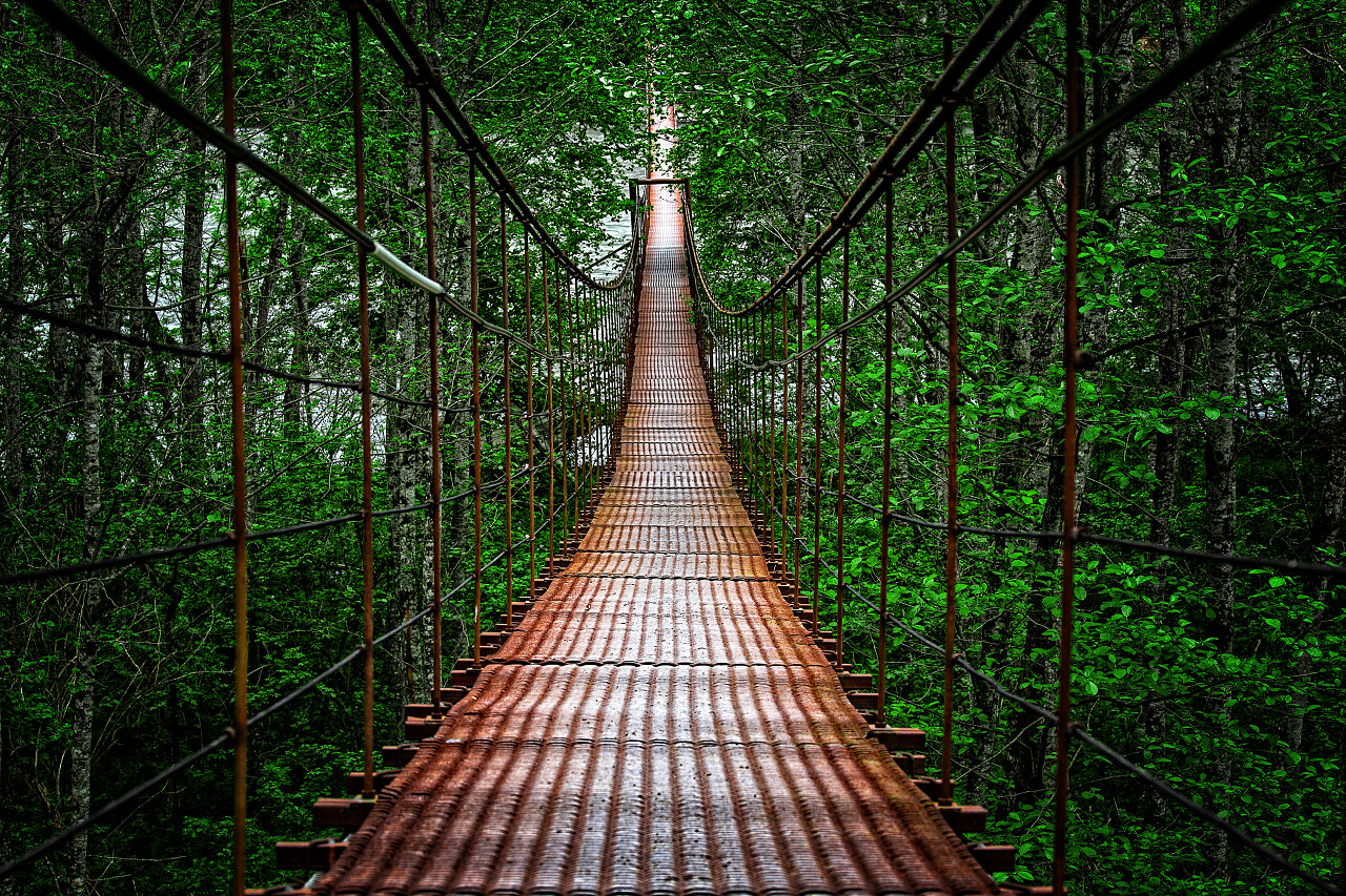 悬索桥在河对岸的森林里