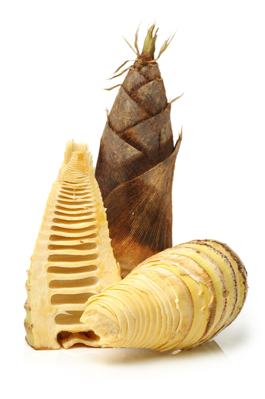 竹笋在白色的背景