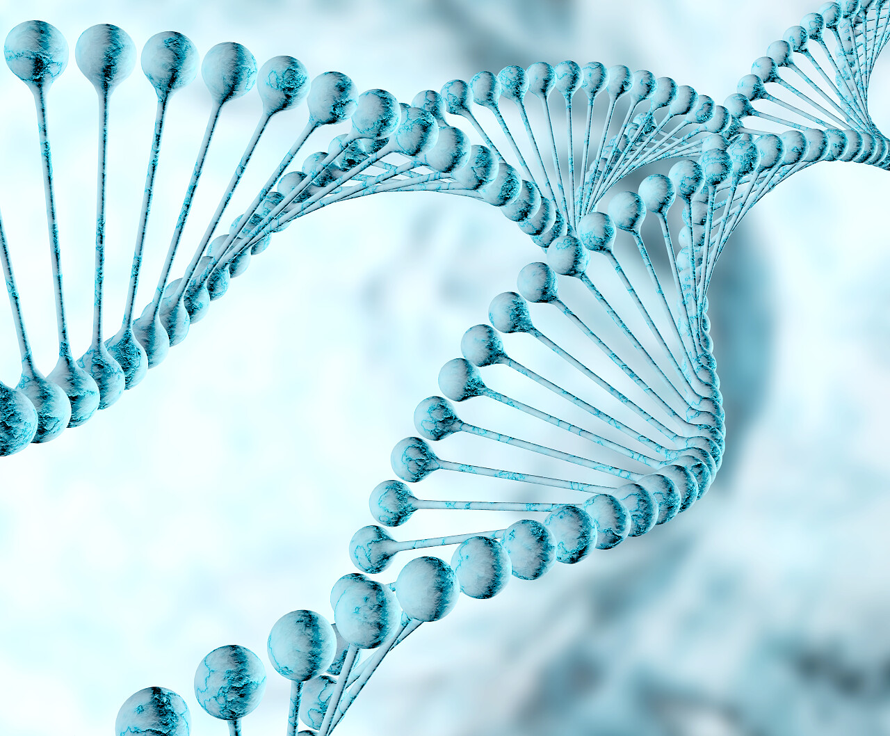 双螺旋结构分子和染色体