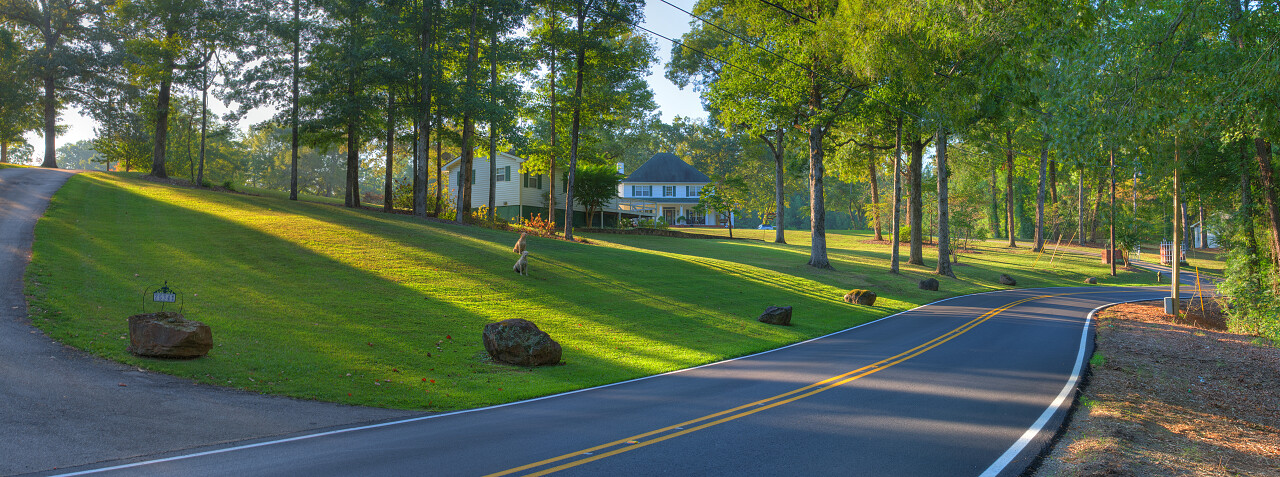 美丽的乡间小路上全景在清晨的阳光