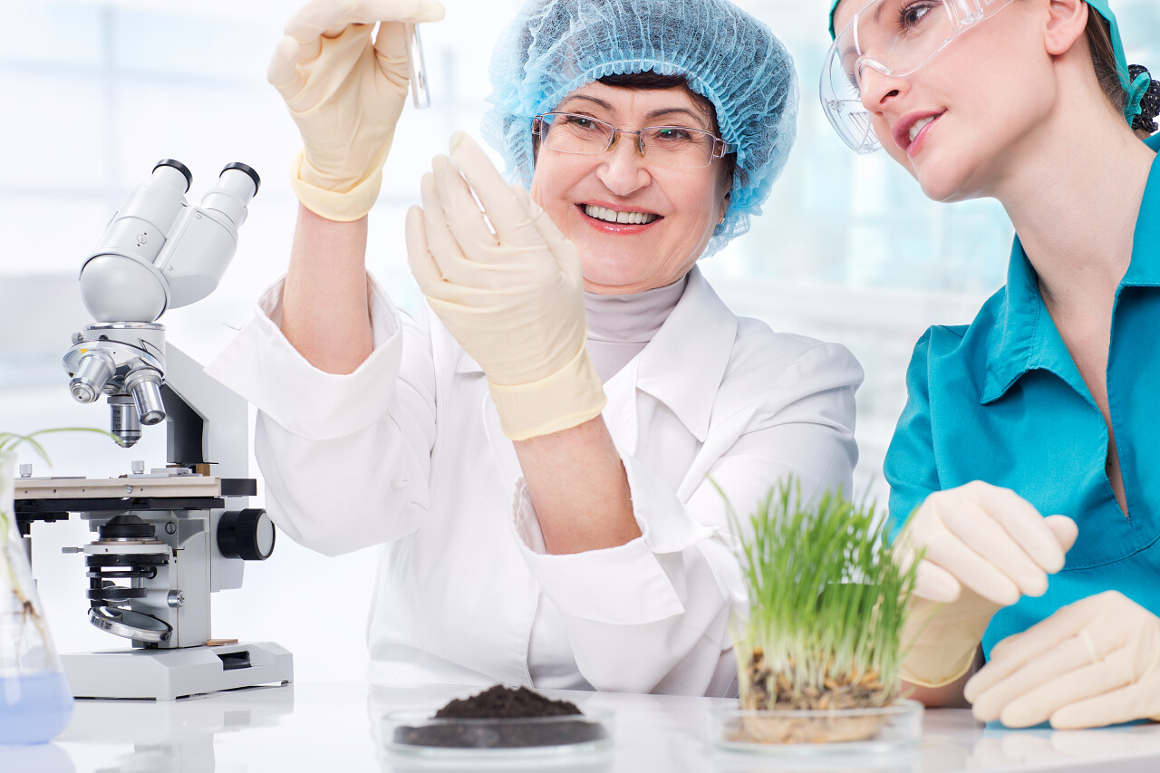 在与植物实验室工作的女科学家