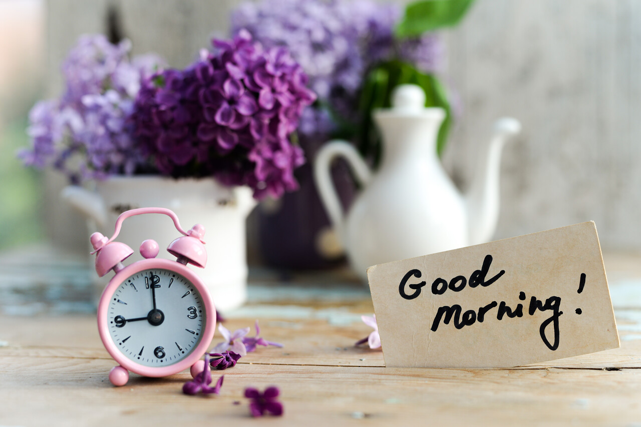 白色和紫色的陶瓷盆中的两色丁香花带有粉红色的复古小闹钟和破旧的木质表面上的早安纸条