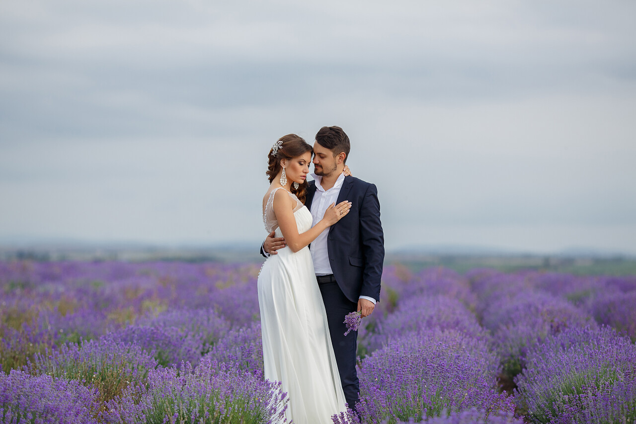 新娘和新郎婚礼当天在夏天享受幸福在薰衣草田地