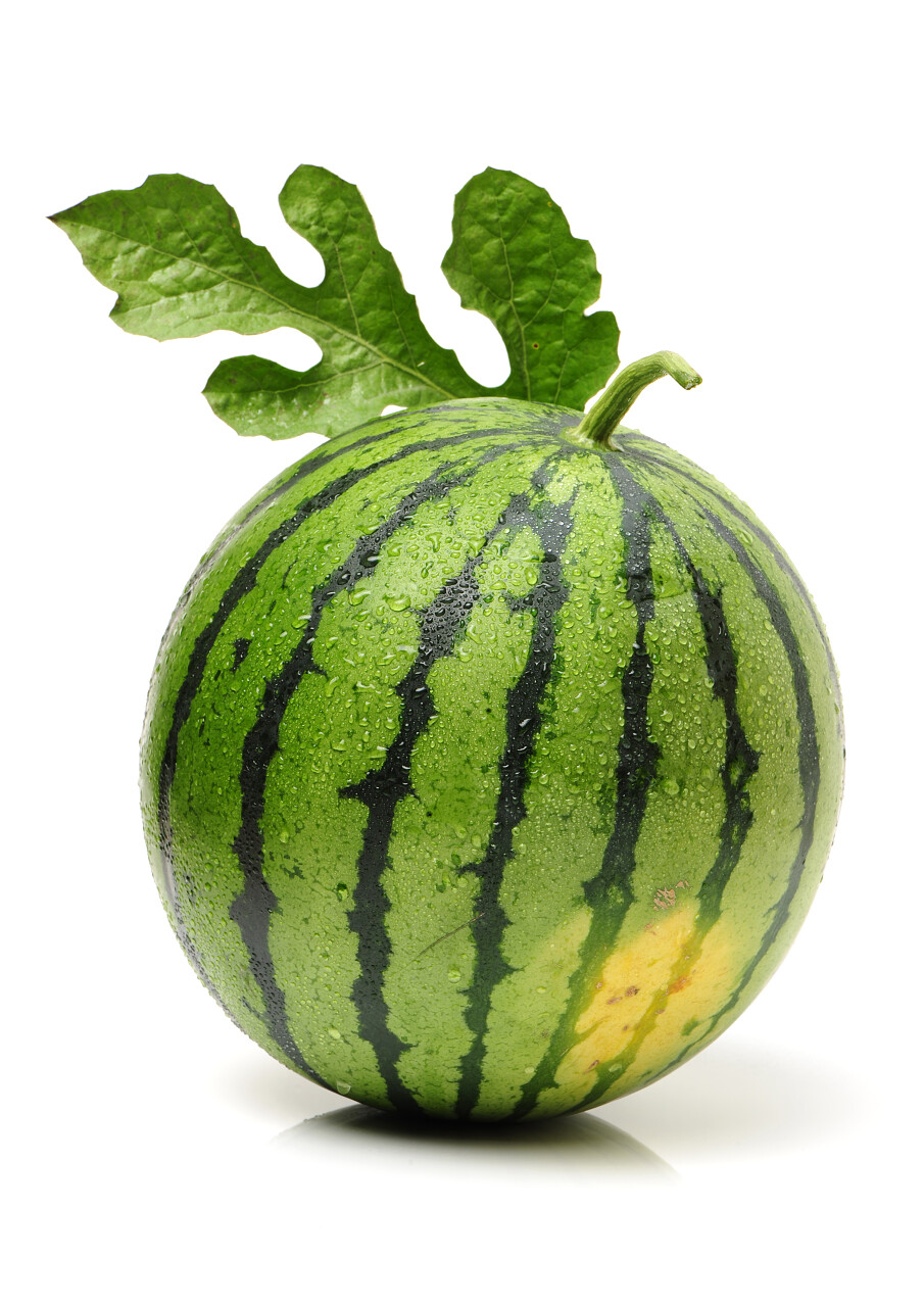 二十四节气夏至24节气西瓜水果白色背景的新鲜西瓜