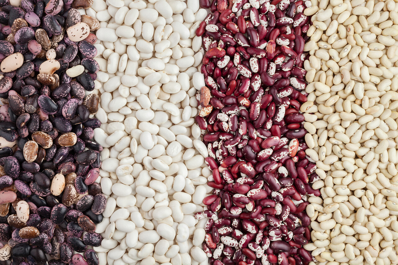 豆科植物背景平铺混合