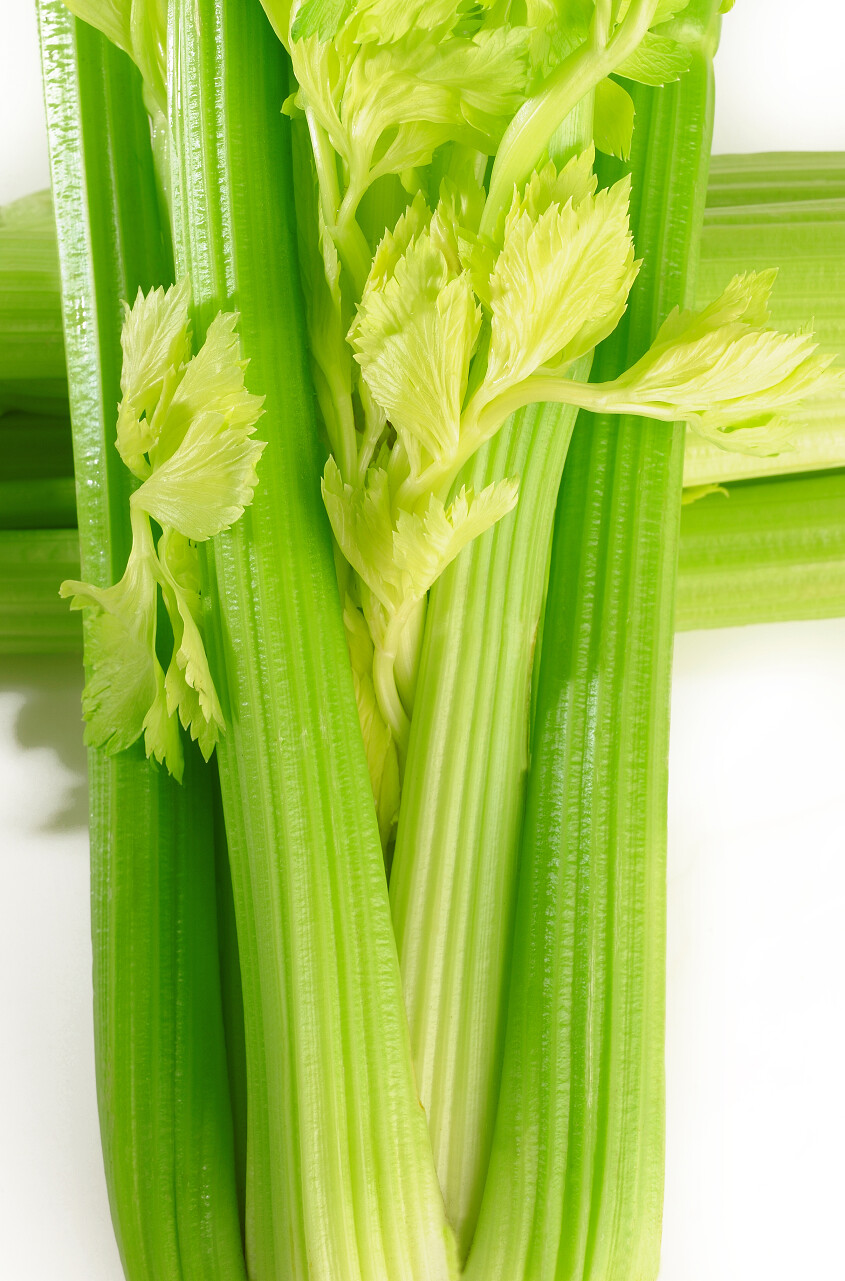 新鲜绿色芹菜