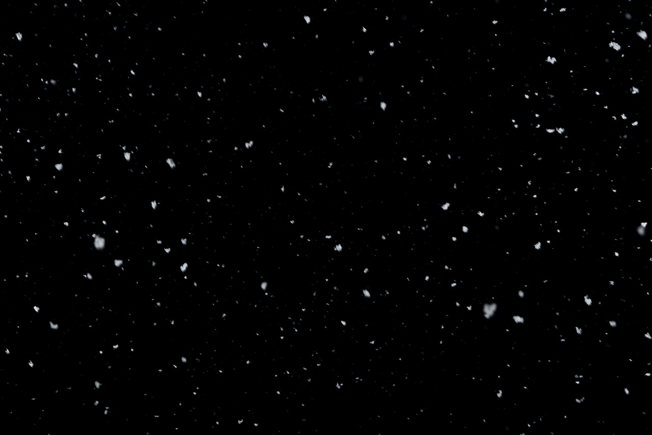 纯黑色背景上的落雪