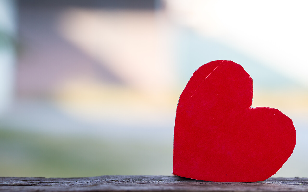 木头上的红心爱情七夕520情人节214情人节