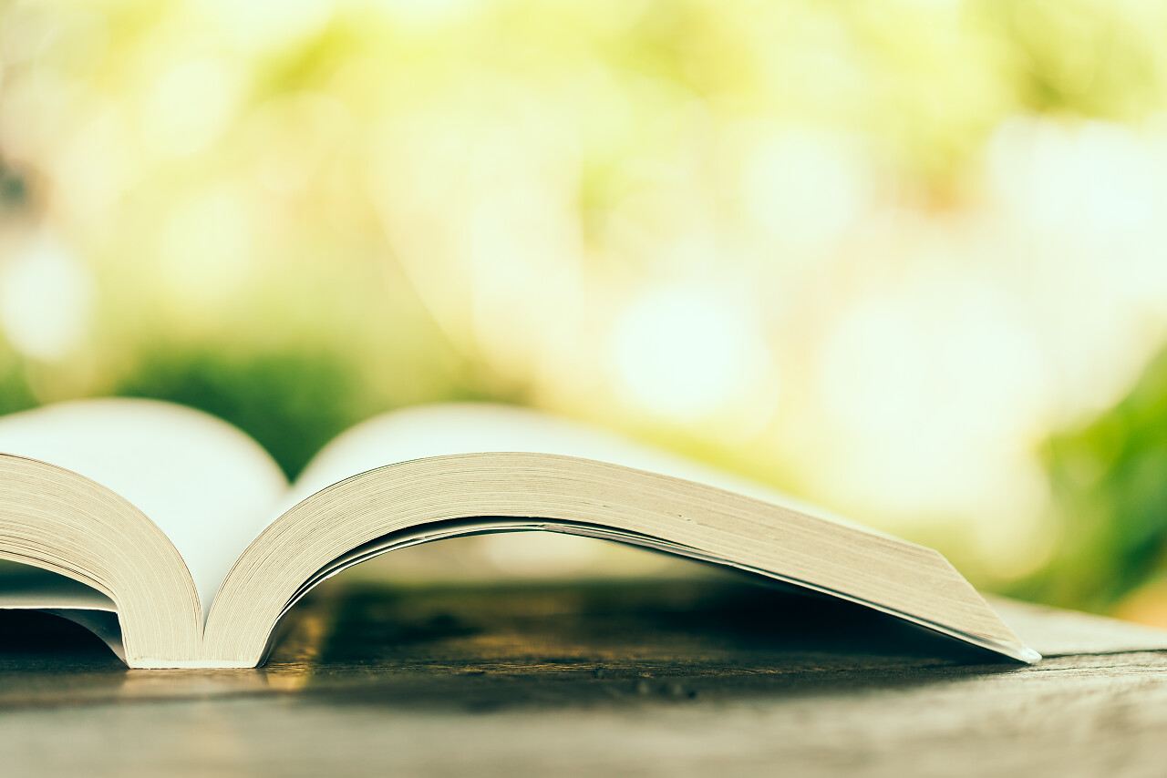 打开的书读书分相会阅读世界读书日