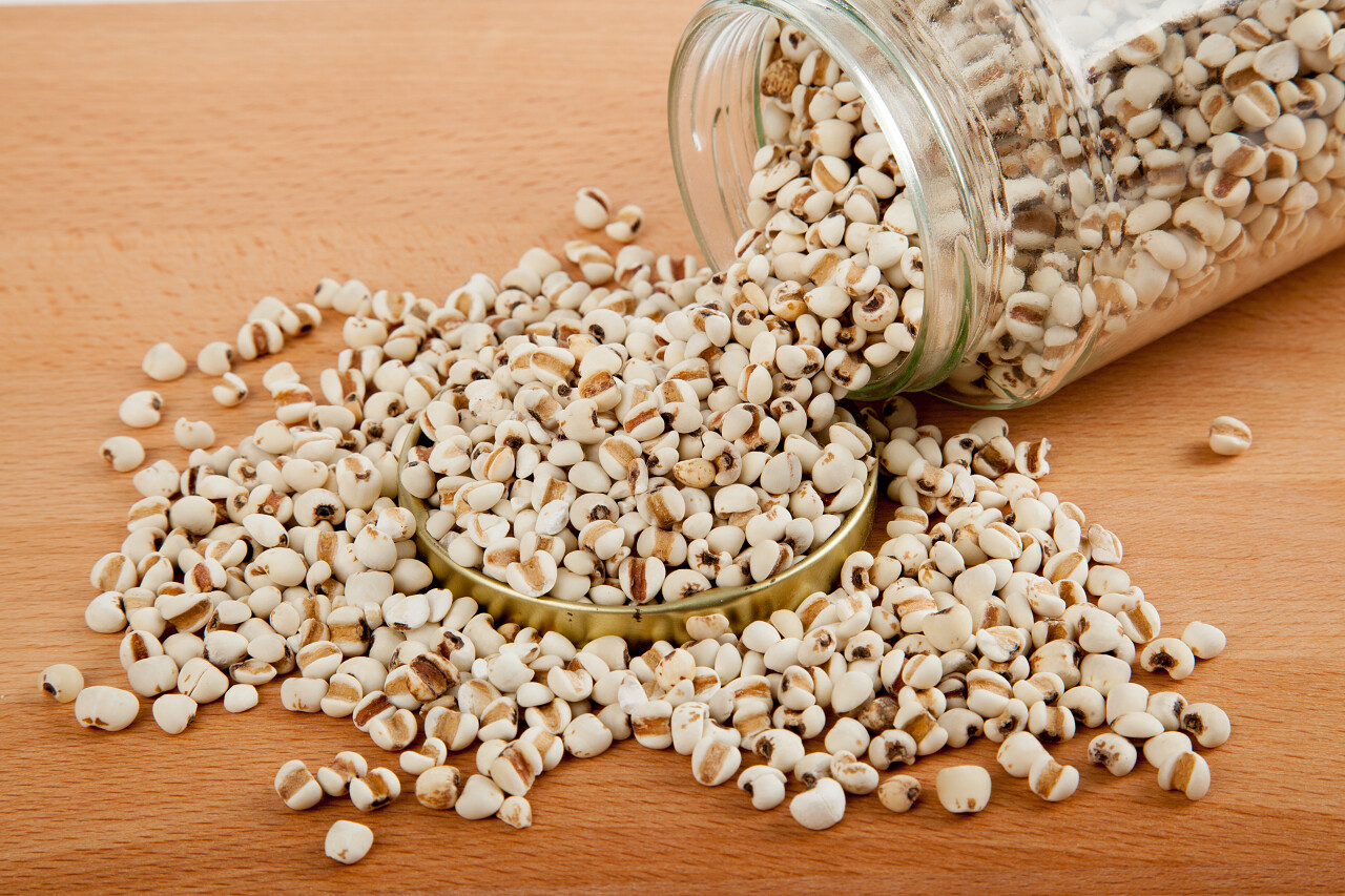 罐子里的杂粮薏米