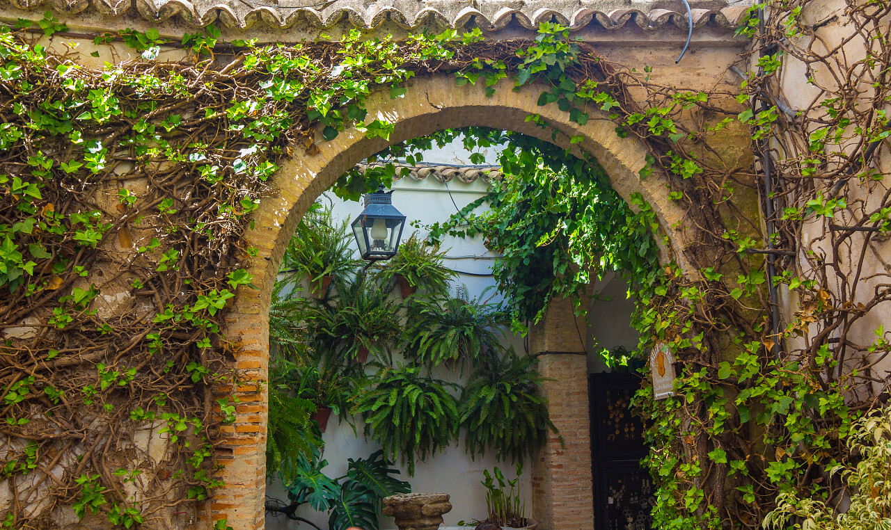 荒废的房屋建筑口腔牙齿