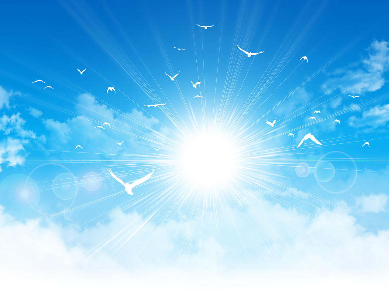 白鸟在乌云密布的蓝天下飞翔