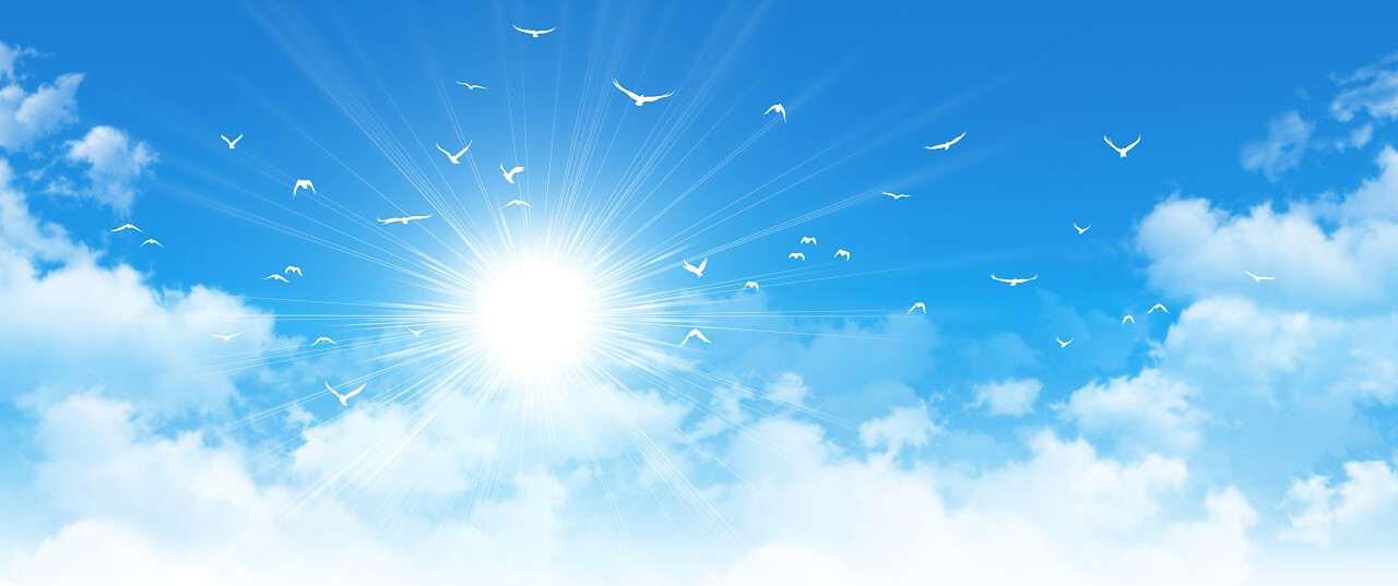 白鸟在乌云密布的蓝天下飞翔