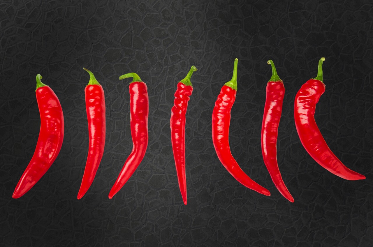 黑色背景前的辣椒