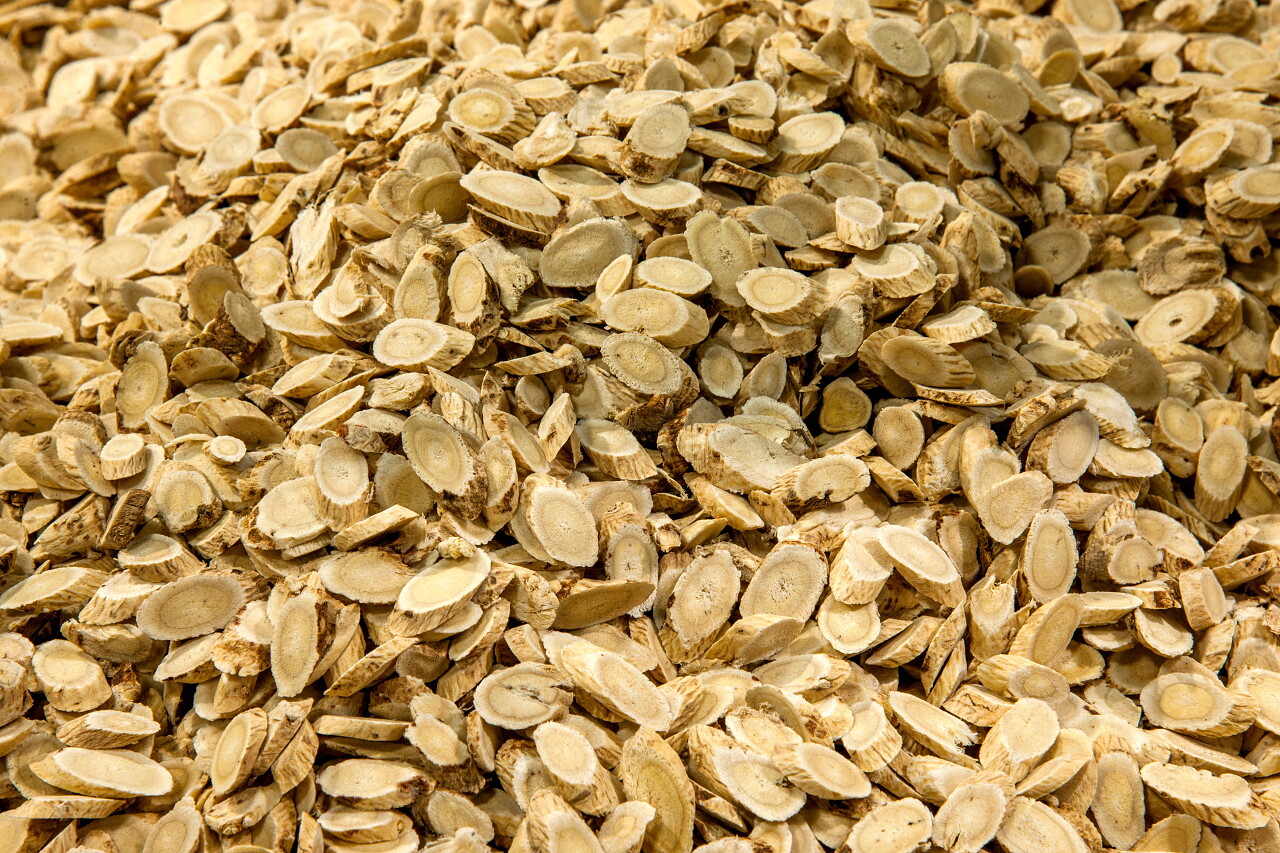 健康茶医学黄芪