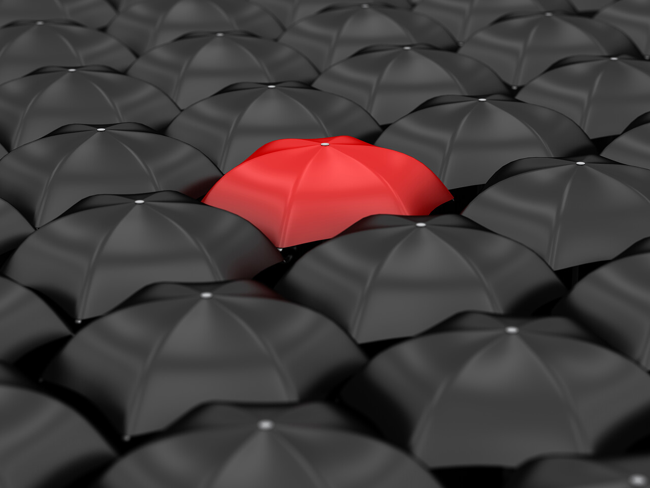 独特的红色伞与许多黑色伞