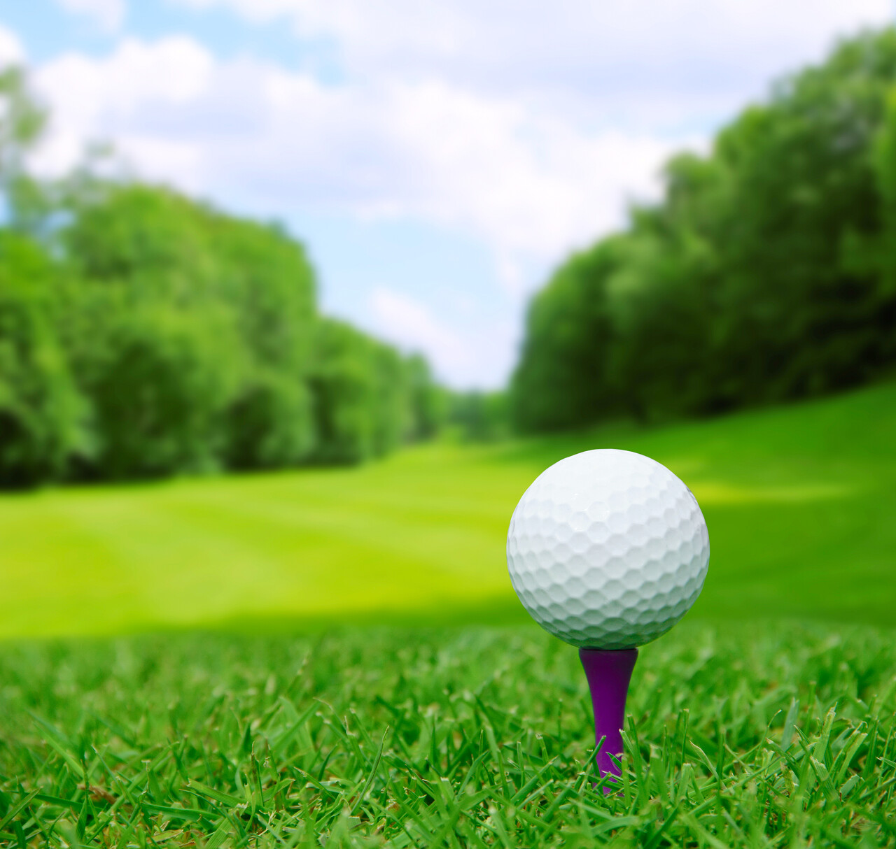 草地上的高尔夫球