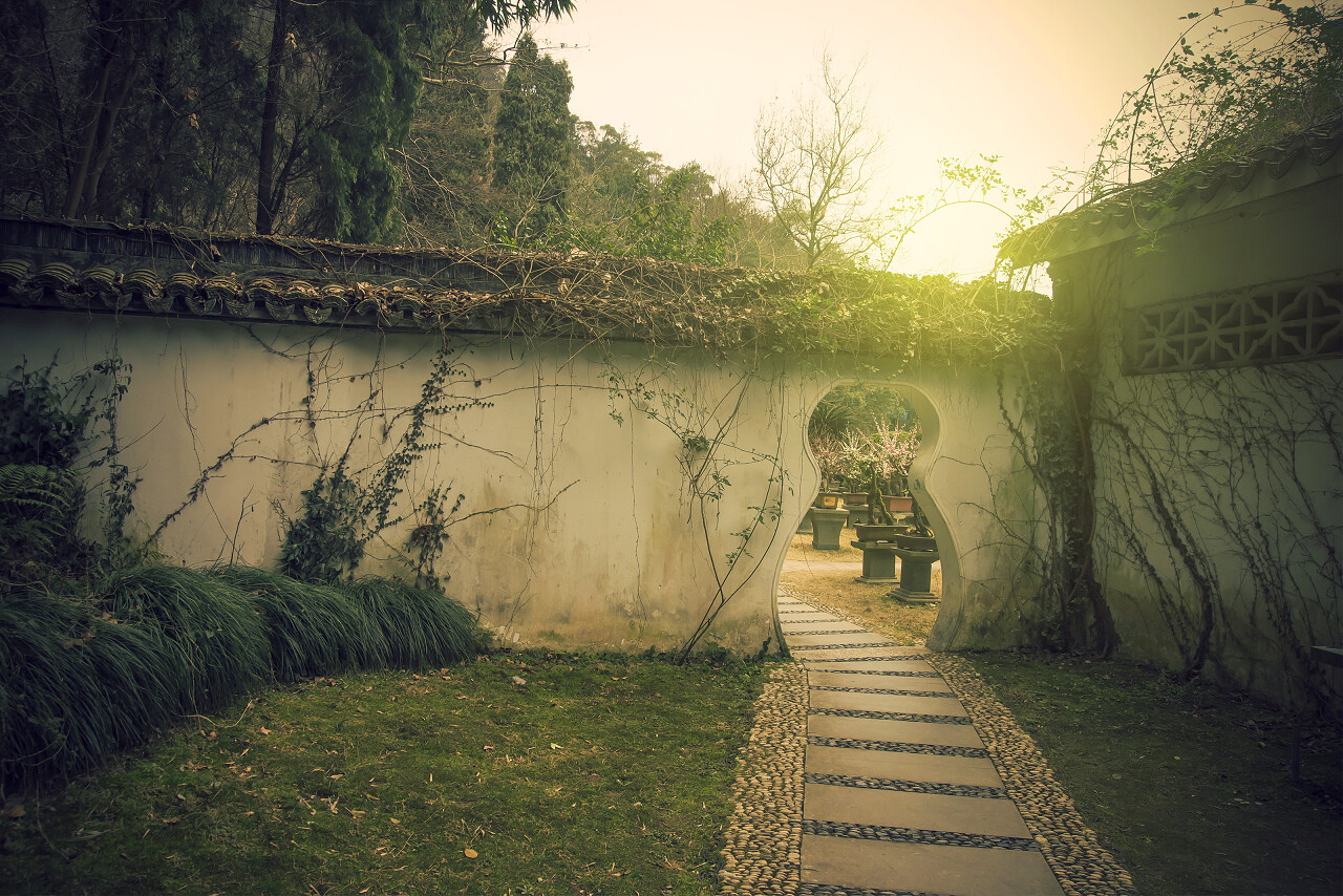 中国古老的花园与美丽的老建筑和盆景树