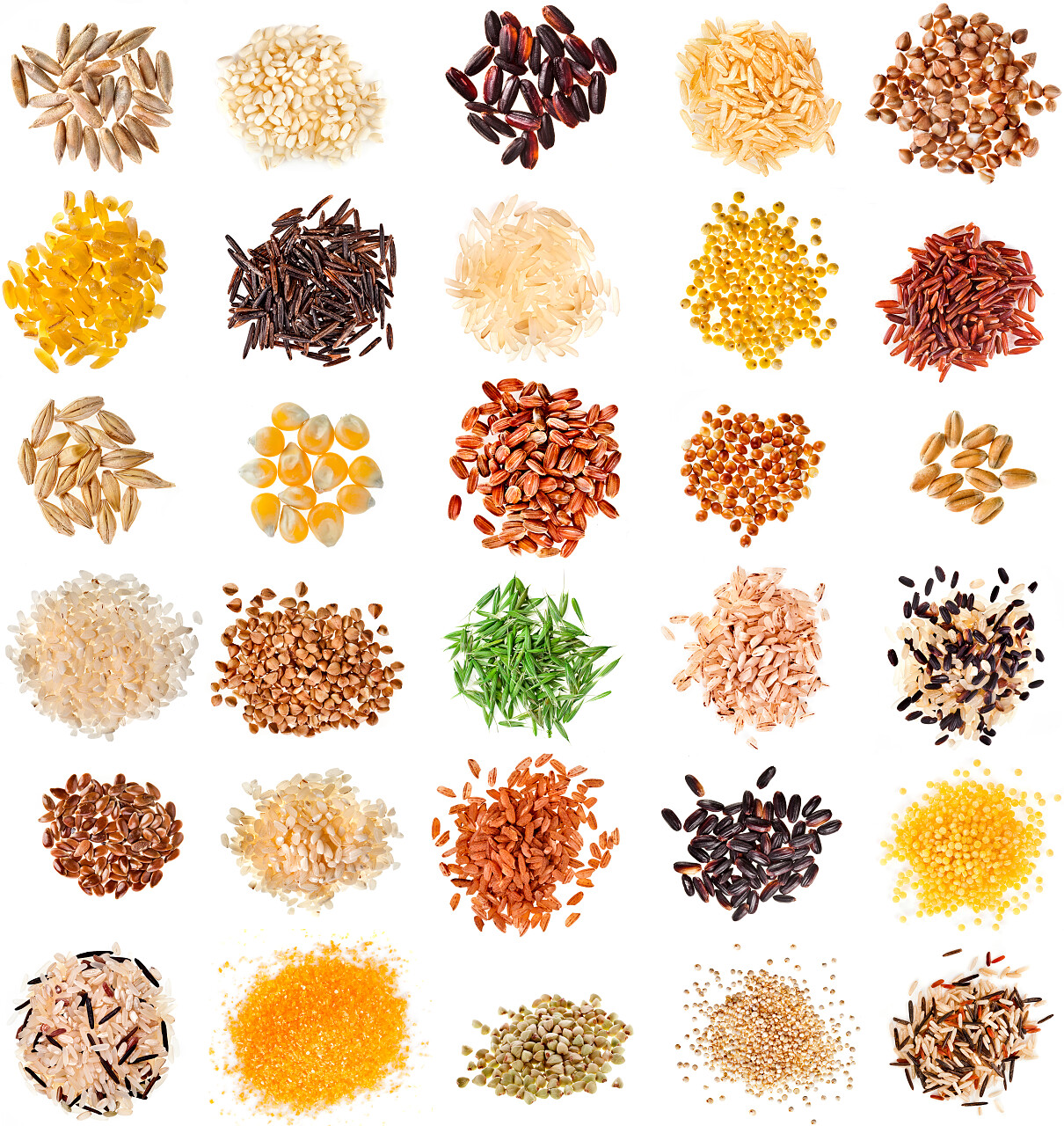 收集谷物和种子麦里小麦大麦燕麦玉米亚麻小米大米巴克麦藜麦