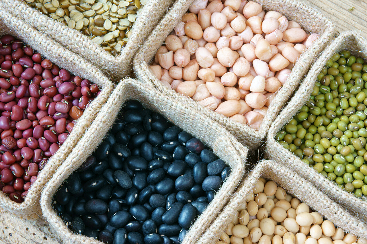 谷物产品绿豆红豆绿豆黑豆谷物产品是健康的食物五谷养生