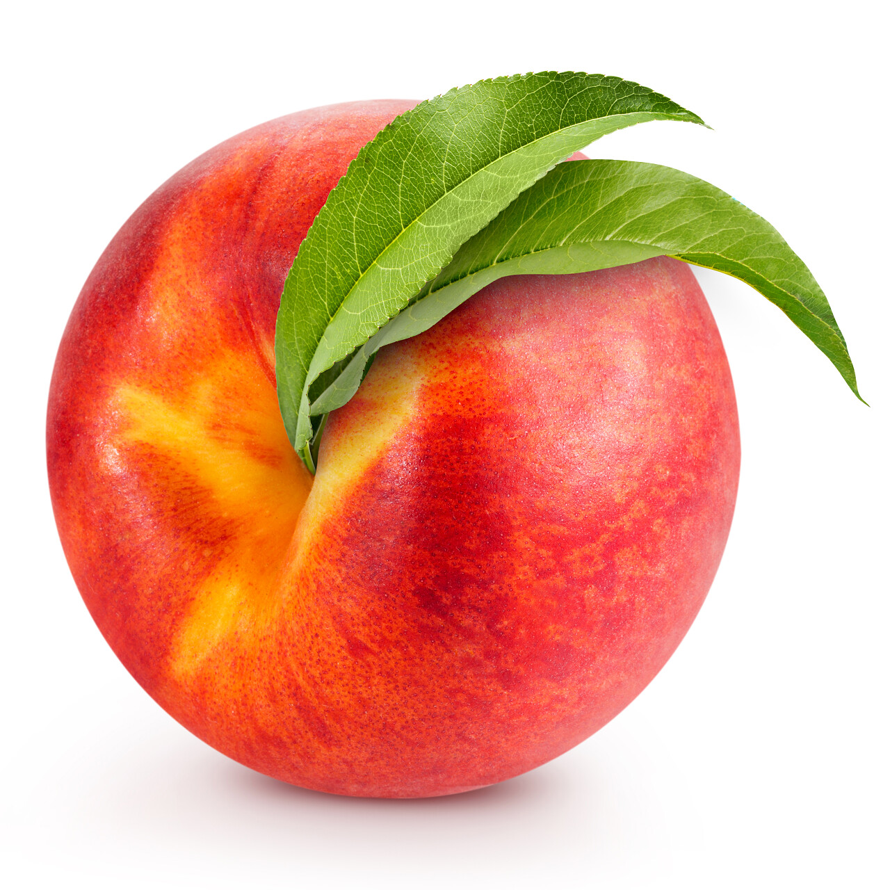 白色背景上的桃子