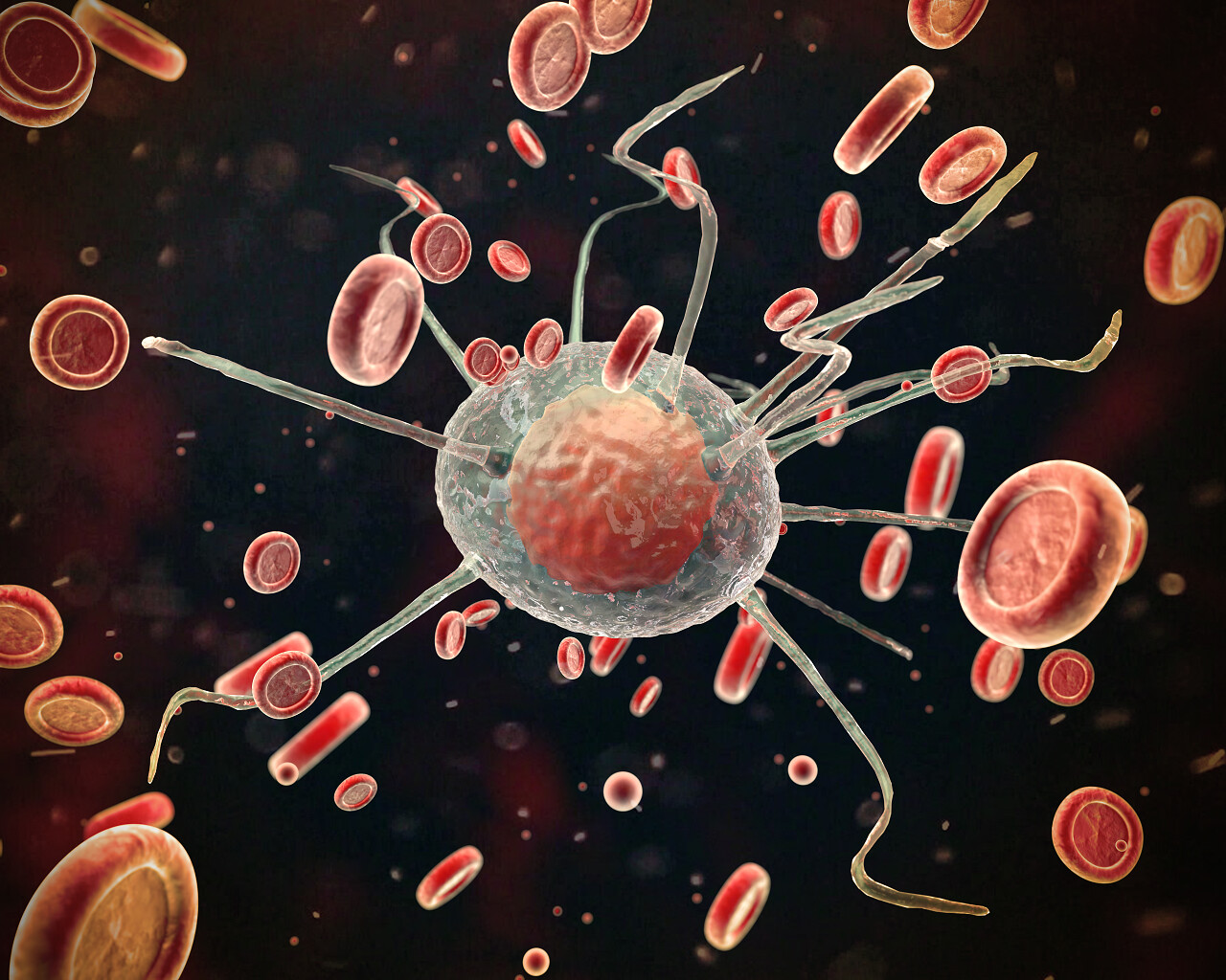 红血球的免疫防御