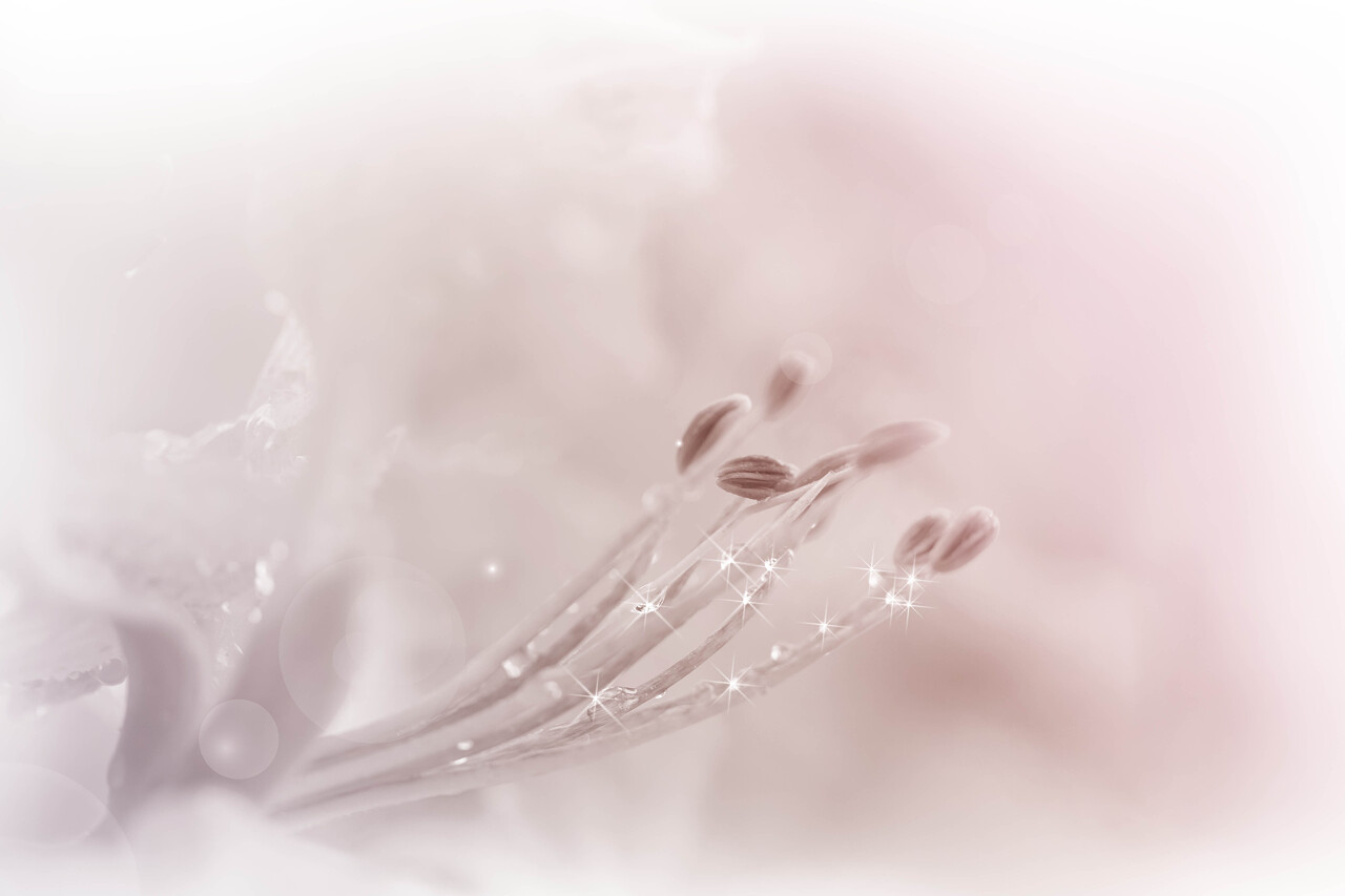 花背景色彩缤纷