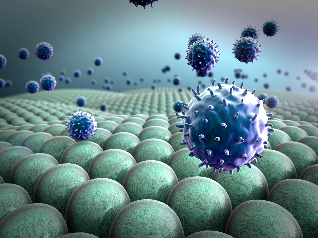 3d细菌冠状病毒演示