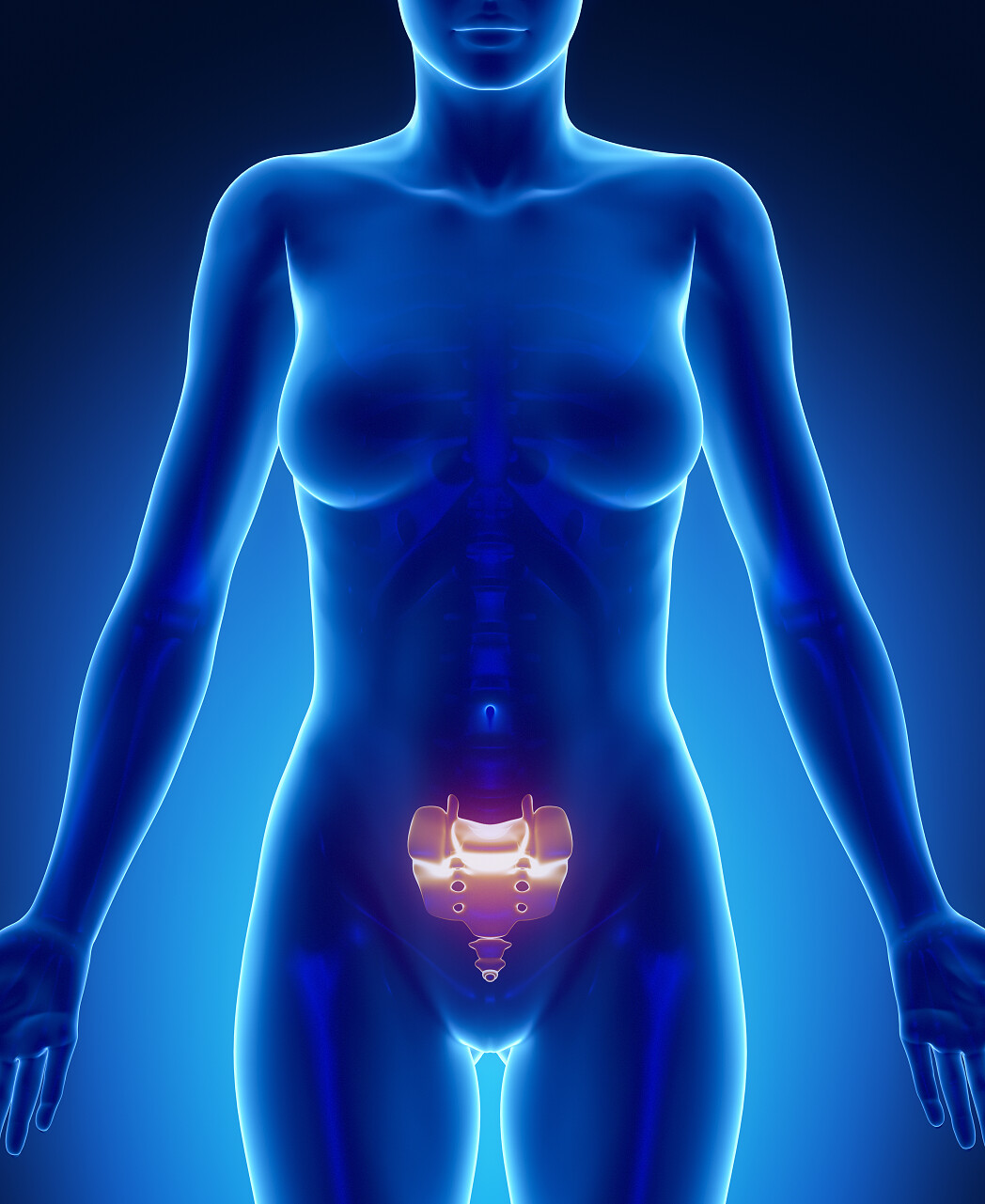 蓝色背景女性骶骨X射线骨扫描的分析图