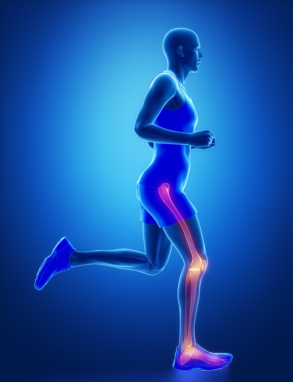 蓝色背景解刨腿部关节的运动人物