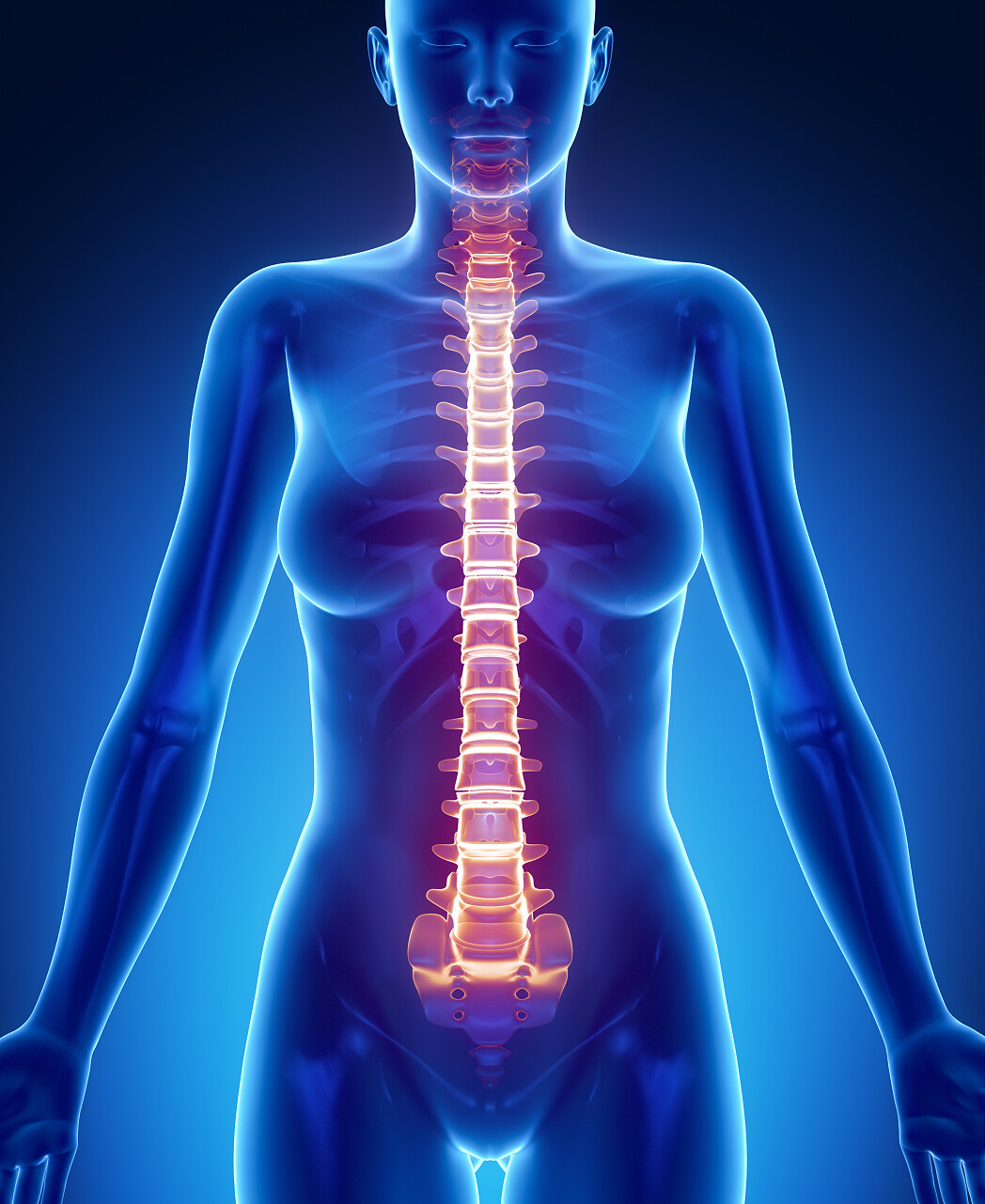 蓝色背景女性身体脊柱X射线骨扫描分析图