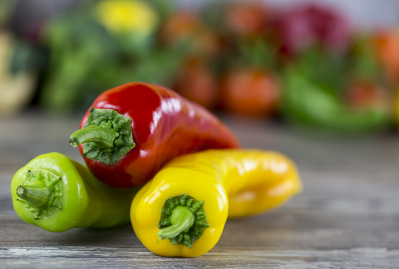 灰色背景上三个彩色的辣椒蔬菜食品宣传