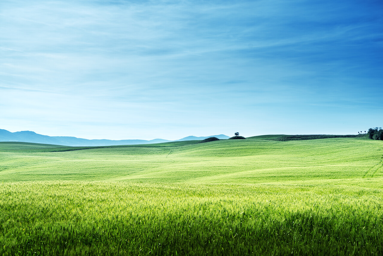 意大利托斯卡纳蓝色天空下一望无际的绿色草地
