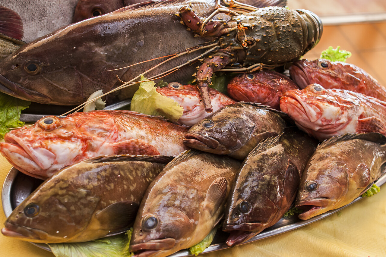 褐色木质桌子上摆放各种新鲜的鱼和海鲜